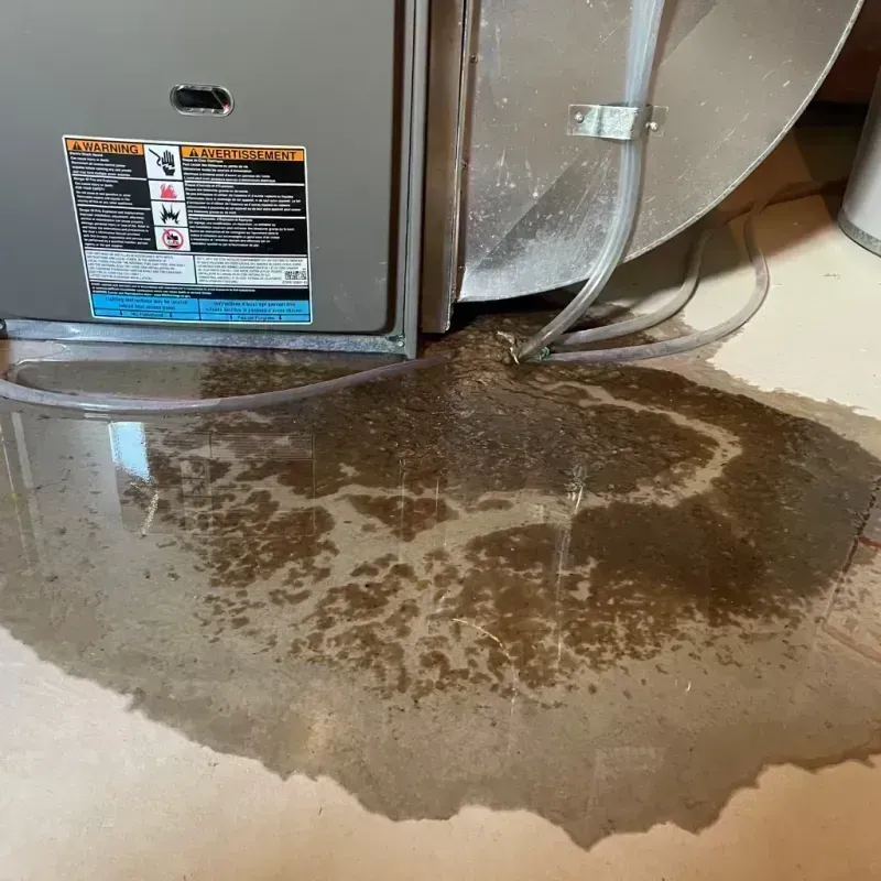 Appliance Leak Cleanup in Godley, TX